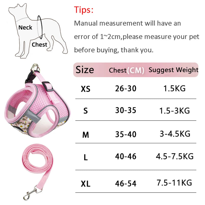 Ensemble harnais et laisse pour chien accessoires pour animaux de compagnie
