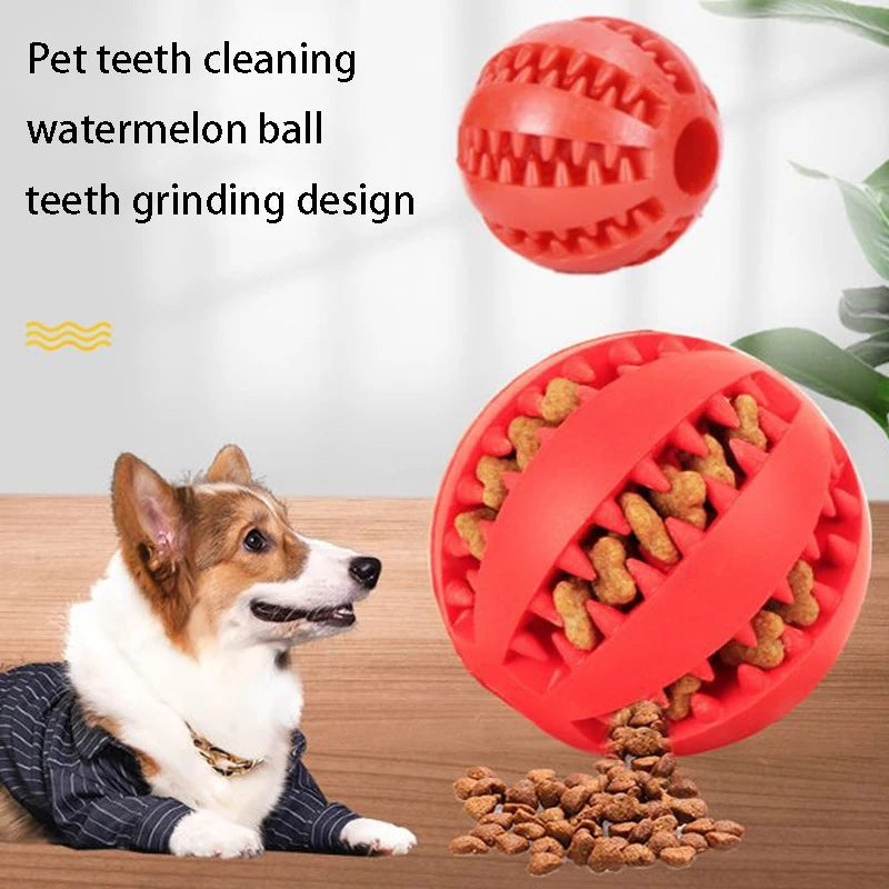 Jouets en caoutchouc naturel pour chien, jouets à mâcher pour chien, nettoyage des dents, boule de friandises, élasticité Interactive Extra-résistante, produits pour animaux de compagnie