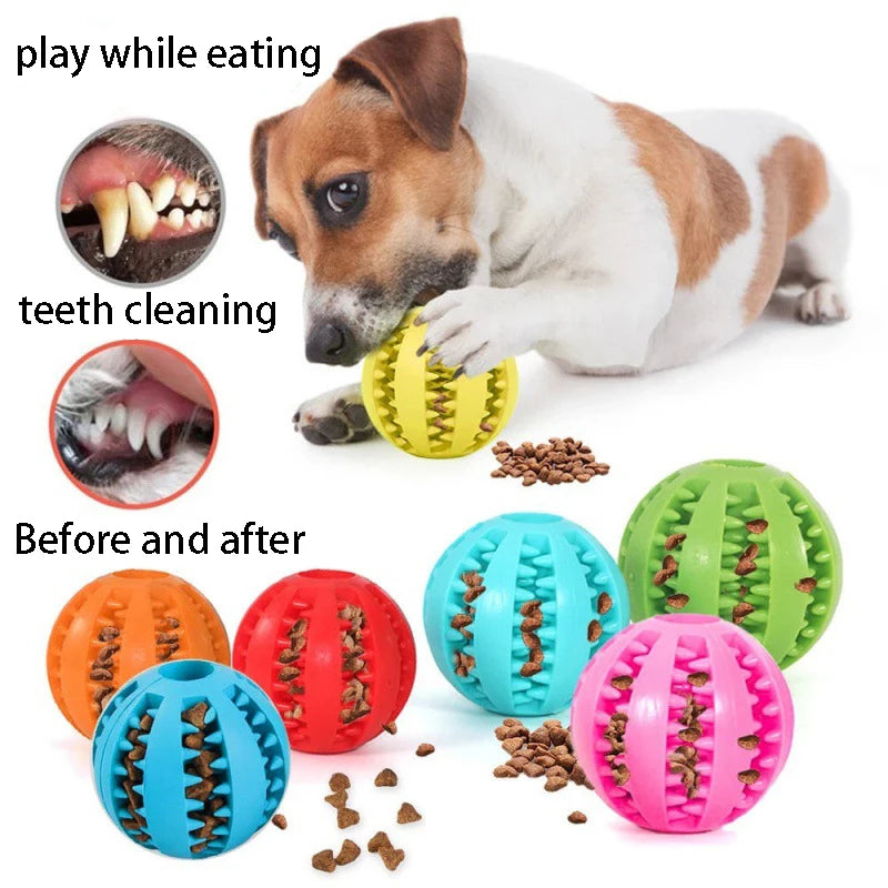 Jouets en caoutchouc naturel pour chien, jouets à mâcher pour chien, nettoyage des dents, boule de friandises, élasticité Interactive Extra-résistante, produits pour animaux de compagnie
