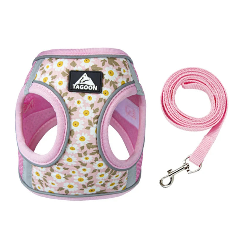 Ensemble harnais et laisse pour chien accessoires pour animaux de compagnie