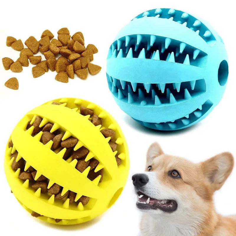Jouets en caoutchouc naturel pour chien, jouets à mâcher pour chien, nettoyage des dents, boule de friandises, élasticité Interactive Extra-résistante, produits pour animaux de compagnie