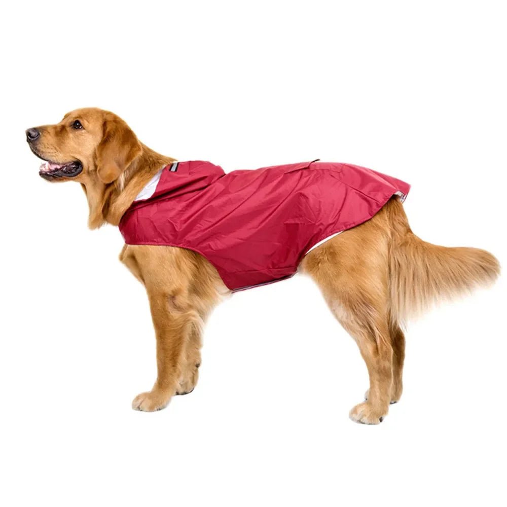 Accessories pour chiens manteau de pluie imperméable ciré pour chiens dog raincoat - Our family dog