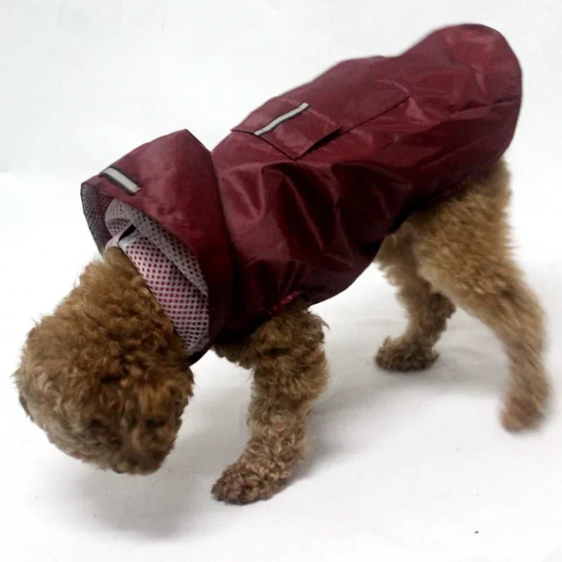 Accessories pour chiens manteau de pluie imperméable ciré pour chiens dog raincoat - Our family dog