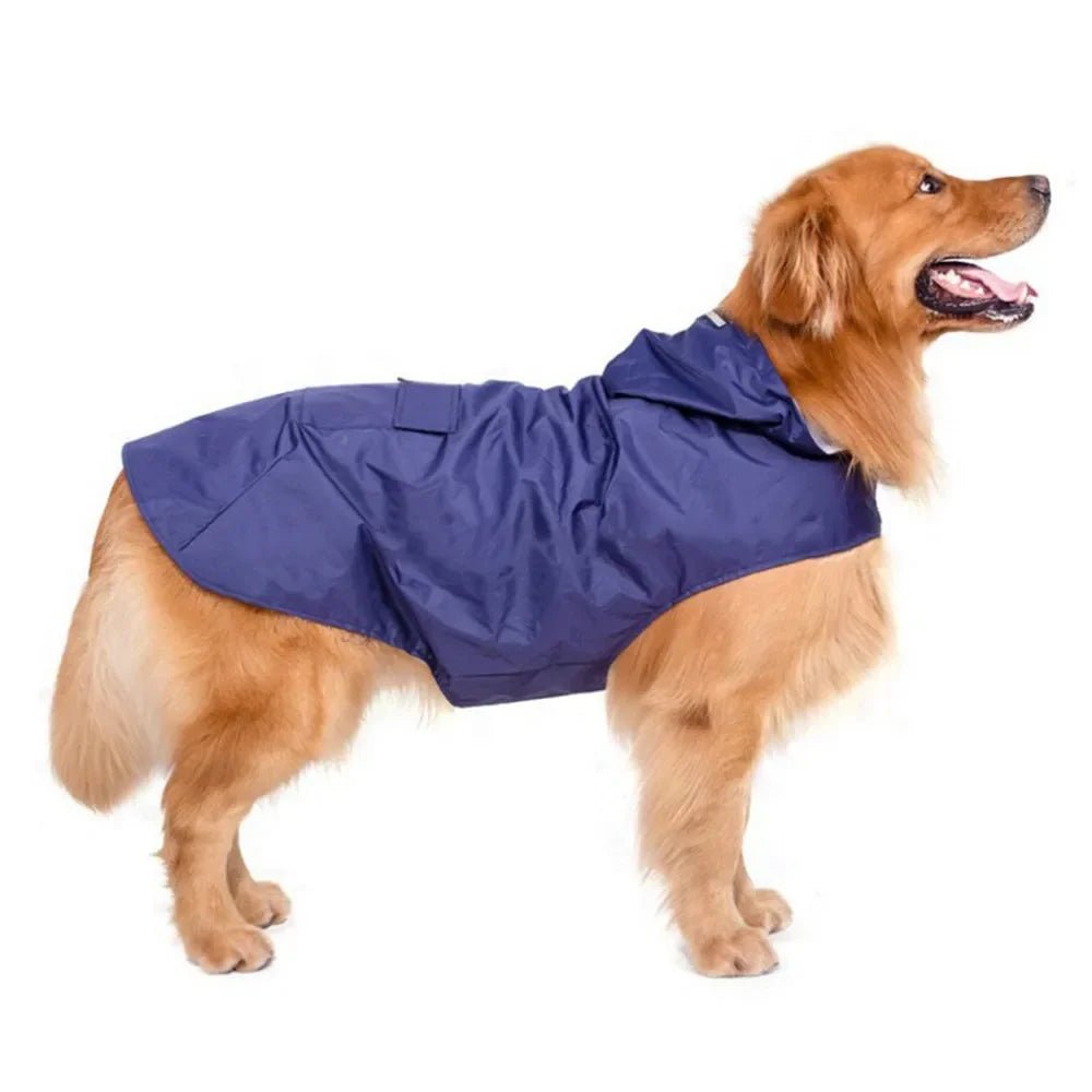 Accessories pour chiens manteau de pluie imperméable ciré pour chiens dog raincoat - Our family dog