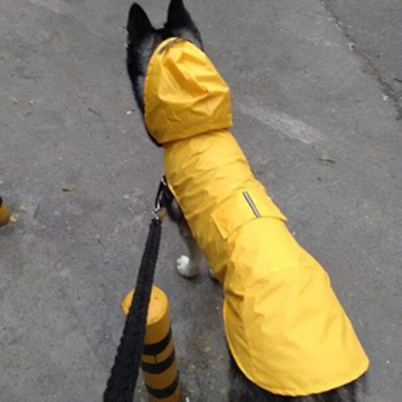 Accessories pour chiens manteau de pluie imperméable ciré pour chiens dog raincoat - Our family dog