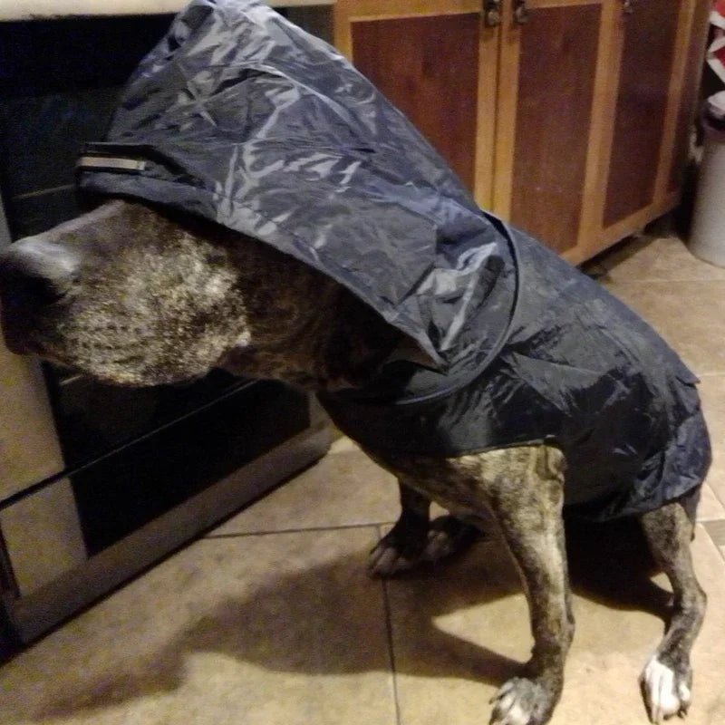 Accessories pour chiens manteau de pluie imperméable ciré pour chiens dog raincoat - Our family dog