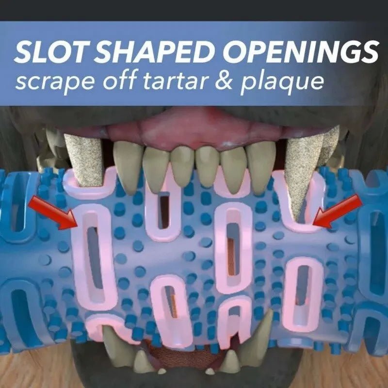 Bâton à mâcher pour chien, masse ,nettoyage, nouveau produit, brosse à dents en caoutchouc, jouet à mâcher, jouet de nettoyage des dents pour animaux de compagnie, accessoire pour animaux de compagnie - Our family dog