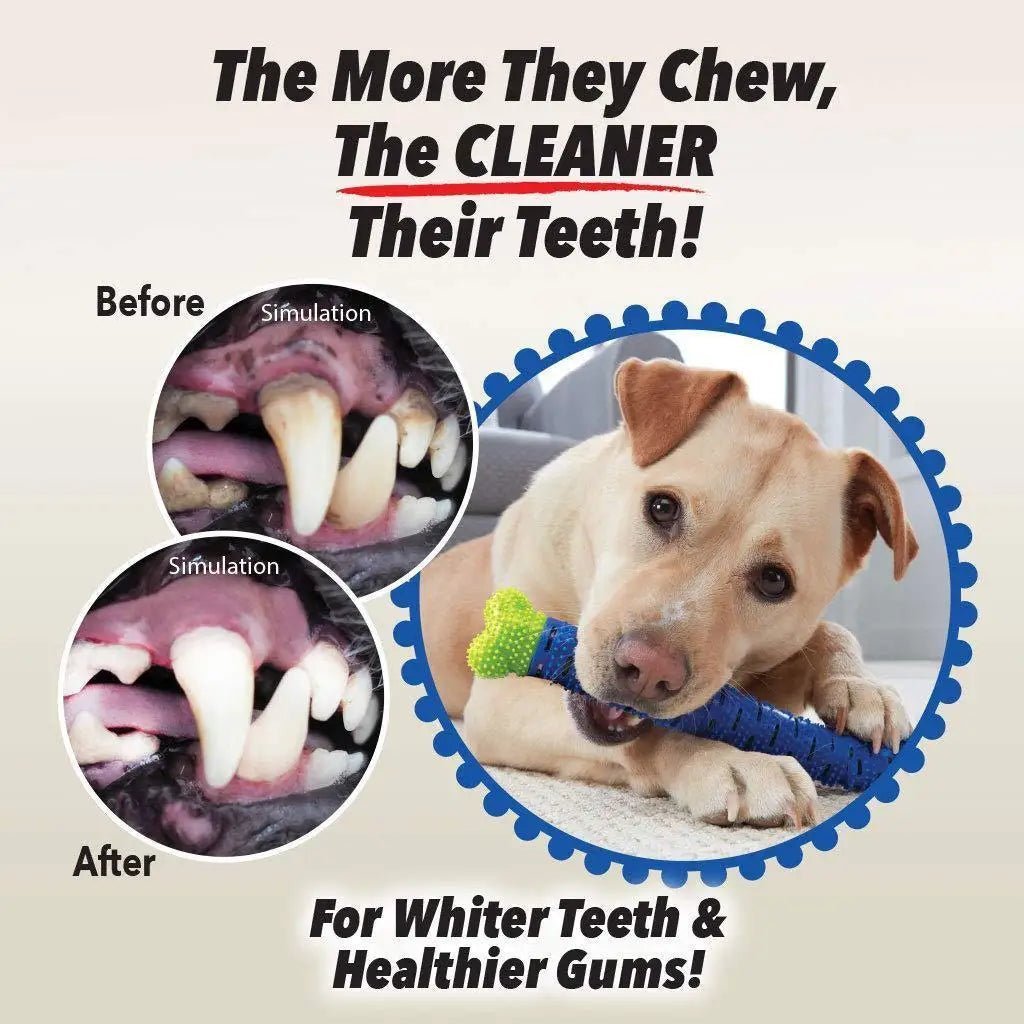 Bâton à mâcher pour chien, masse ,nettoyage, nouveau produit, brosse à dents en caoutchouc, jouet à mâcher, jouet de nettoyage des dents pour animaux de compagnie, accessoire pour animaux de compagnie - Our family dog
