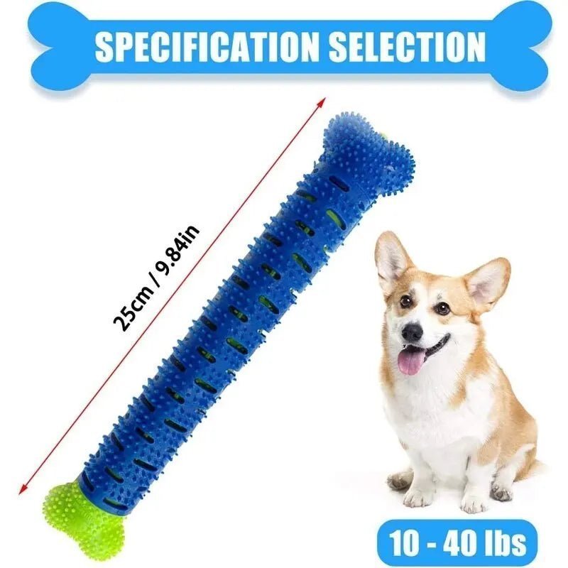 Bâton à mâcher pour chien, masse ,nettoyage, nouveau produit, brosse à dents en caoutchouc, jouet à mâcher, jouet de nettoyage des dents pour animaux de compagnie, accessoire pour animaux de compagnie - Our family dog