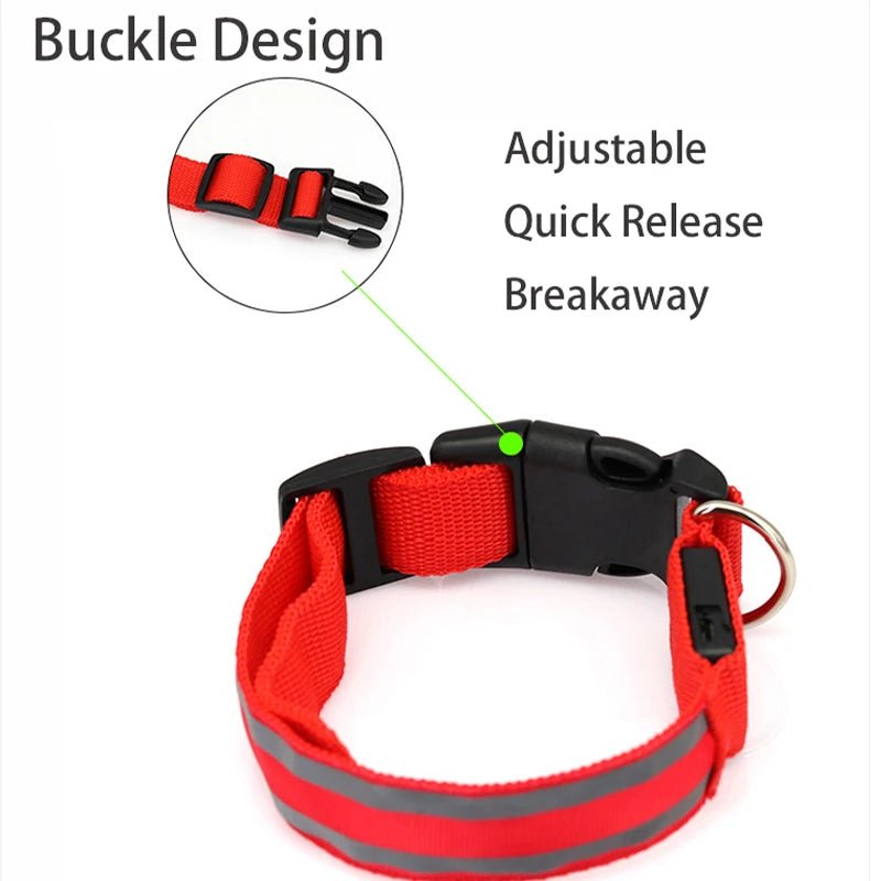 Collier lumineux à Led pour chiens rechargeable sécurité visibilité - Our family dog