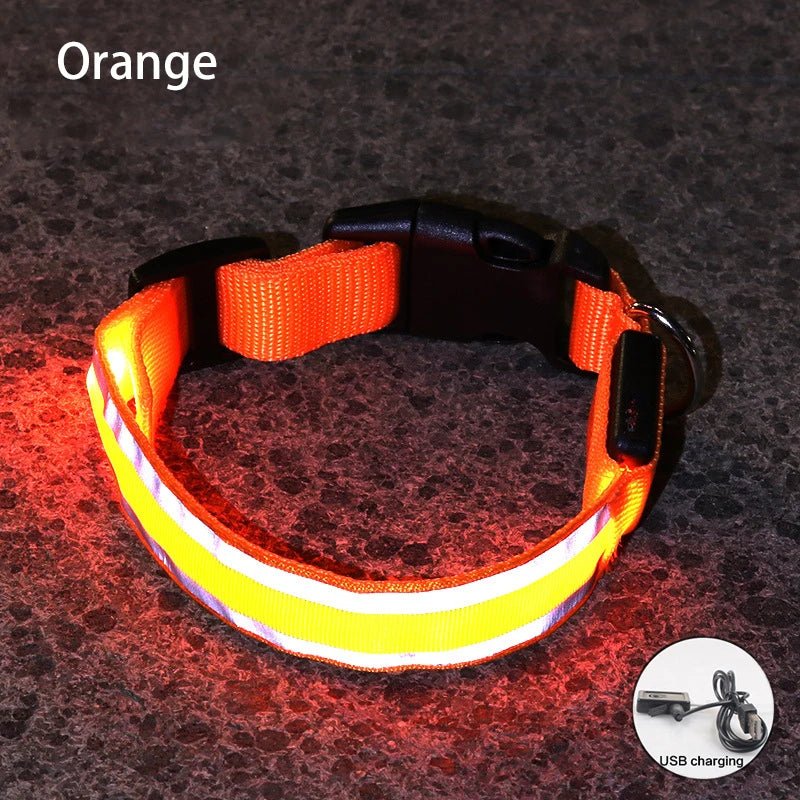 Collier lumineux à Led pour chiens rechargeable sécurité visibilité - Our family dog