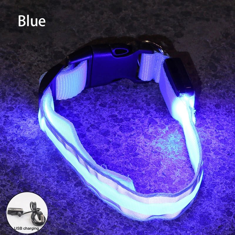 Collier lumineux à Led pour chiens rechargeable sécurité visibilité - Our family dog