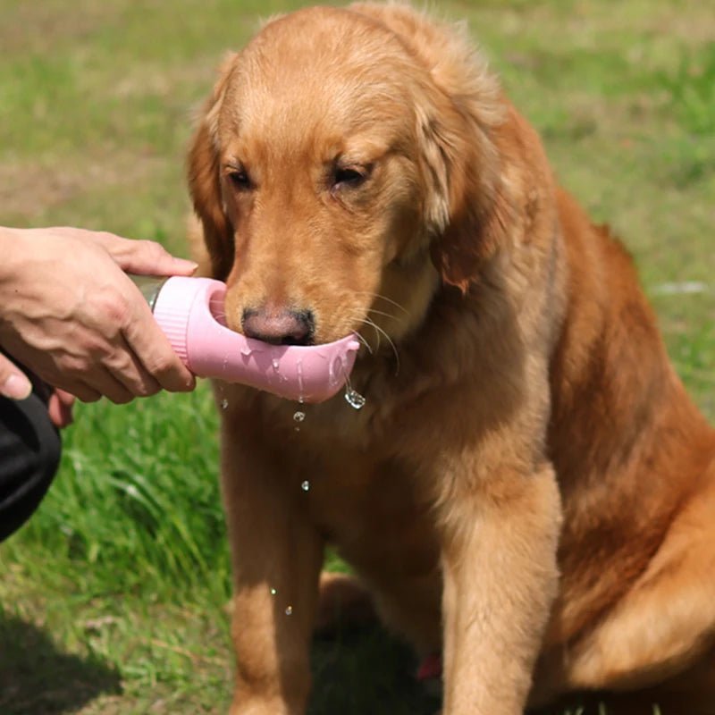 Distributeur d'eau portable et nourriture 2 en 1 pour animaux de compagnie, bol à boire, sortie plein air, petits et grands chiens, chats et chiots, fournitures pour animaux de compagnie gourde pour animal - Our family dog