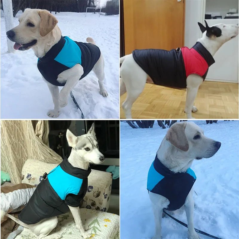 Gilet imperméable pour chien et chiot, veste d'hiver chaude pour chien, vêtements rembourrés pour animaux de compagnie, manteau avec fermeture éclair au dos pour chien manteau pour chien doudoune - Our family dog