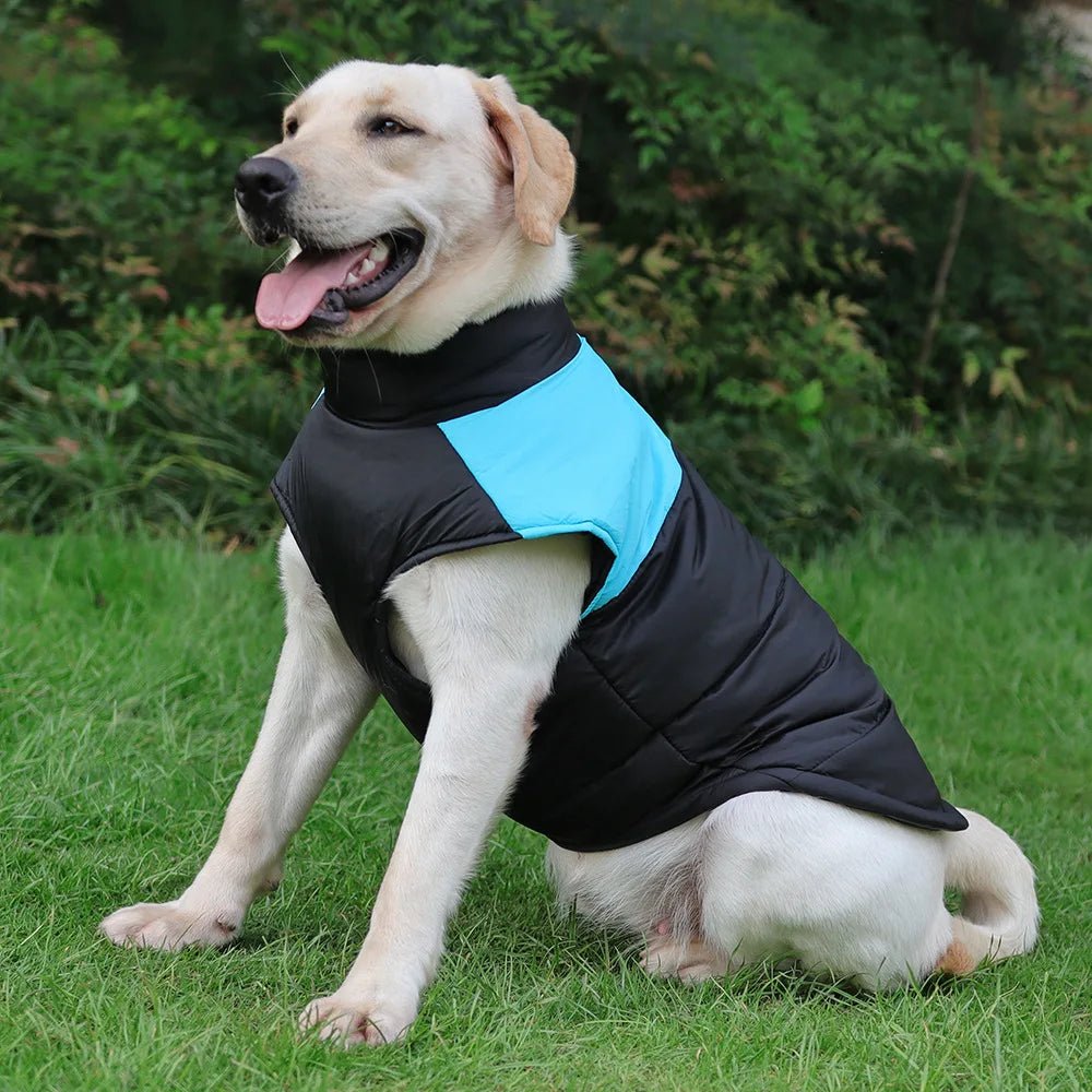 Gilet imperméable pour chien et chiot, veste d'hiver chaude pour chien, vêtements rembourrés pour animaux de compagnie, manteau avec fermeture éclair au dos pour chien manteau pour chien doudoune - Our family dog