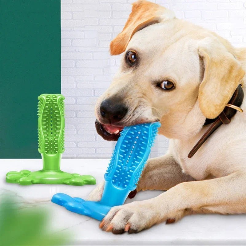 Jouets à mâcher interactifs pour petits et moyens et grands chiens, brosse à dents de nettoyage pour chiens 100% caoutchouc naturel eco friendly accessoires pour animaux de compagnie - Our family dog