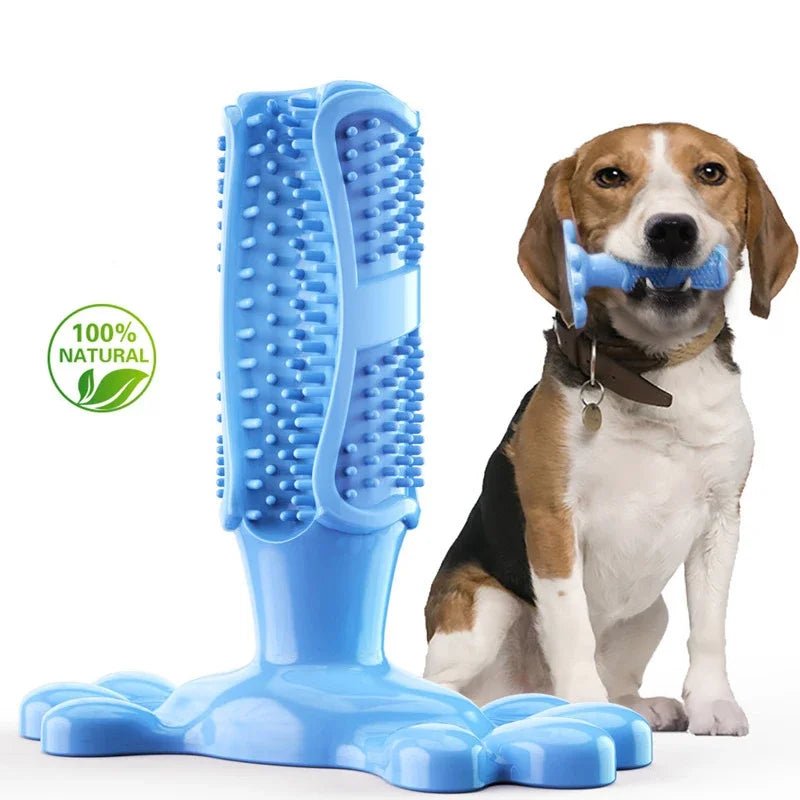 Jouets à mâcher interactifs pour petits et moyens et grands chiens, brosse à dents de nettoyage pour chiens 100% caoutchouc naturel eco friendly accessoires pour animaux de compagnie - Our family dog