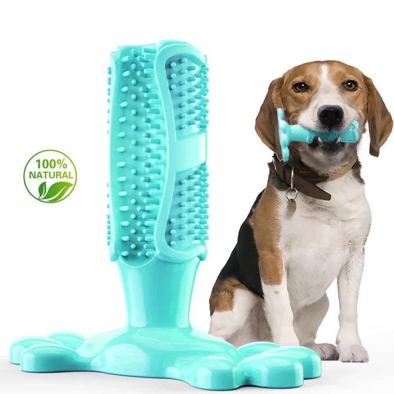 Jouets à mâcher interactifs pour petits et moyens et grands chiens, brosse à dents de nettoyage pour chiens 100% caoutchouc naturel eco friendly accessoires pour animaux de compagnie - Our family dog