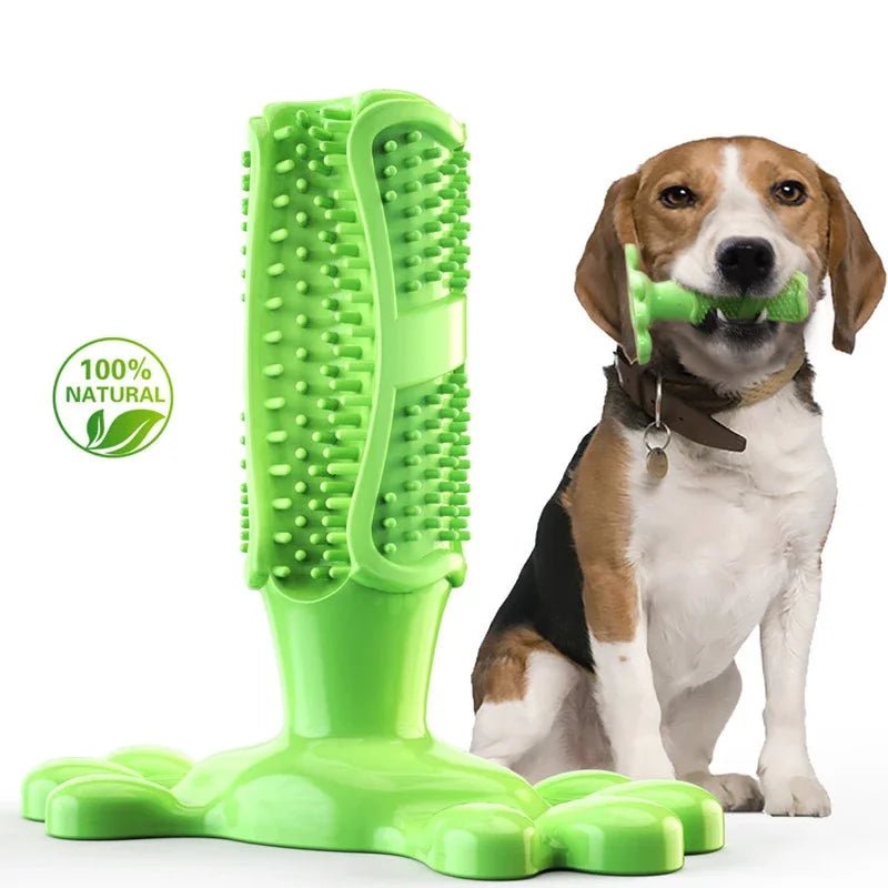 Jouets à mâcher interactifs pour petits et moyens et grands chiens, brosse à dents de nettoyage pour chiens 100% caoutchouc naturel eco friendly accessoires pour animaux de compagnie - Our family dog