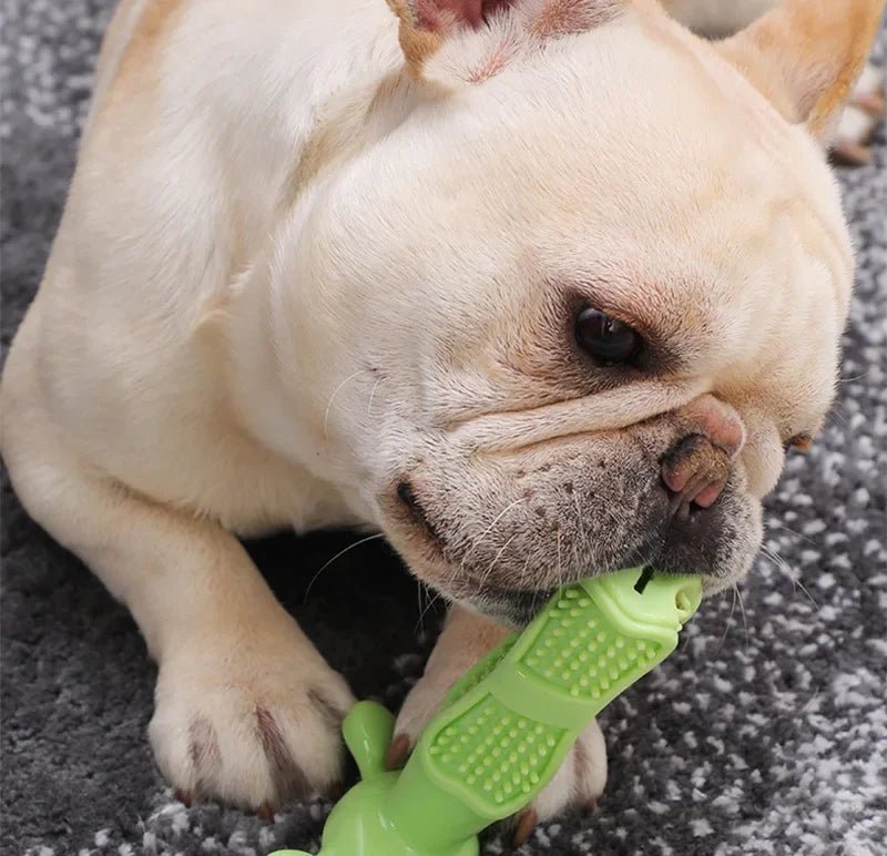 Jouets à mâcher interactifs pour petits et moyens et grands chiens, brosse à dents de nettoyage pour chiens 100% caoutchouc naturel eco friendly accessoires pour animaux de compagnie - Our family dog