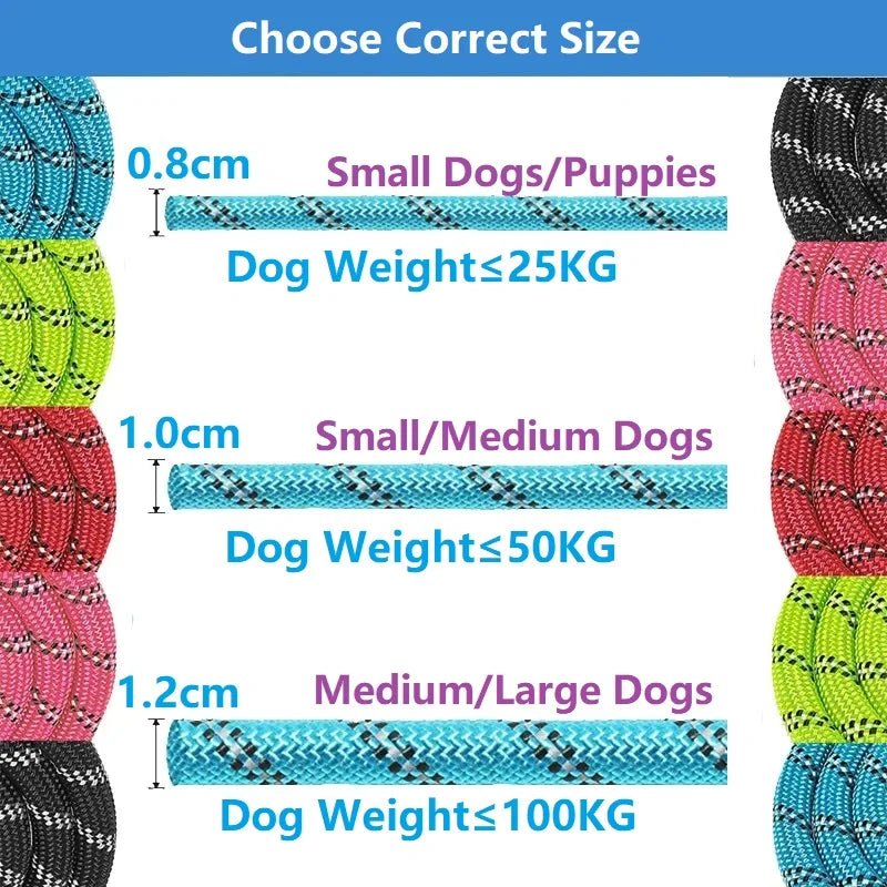 Laisses solides pour chiens, 120/150/200/300CM, poignée souple, laisse renforcée pour petits, moyens et grands chiens, fournitures pour animaux de compagnie grands chiens, laisse éducative - Our family dog