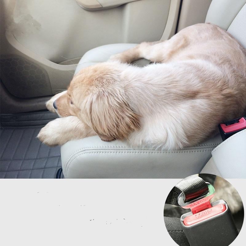 BeltPet™ - Ceinture de siège pour animal de compagnie - Our family dog