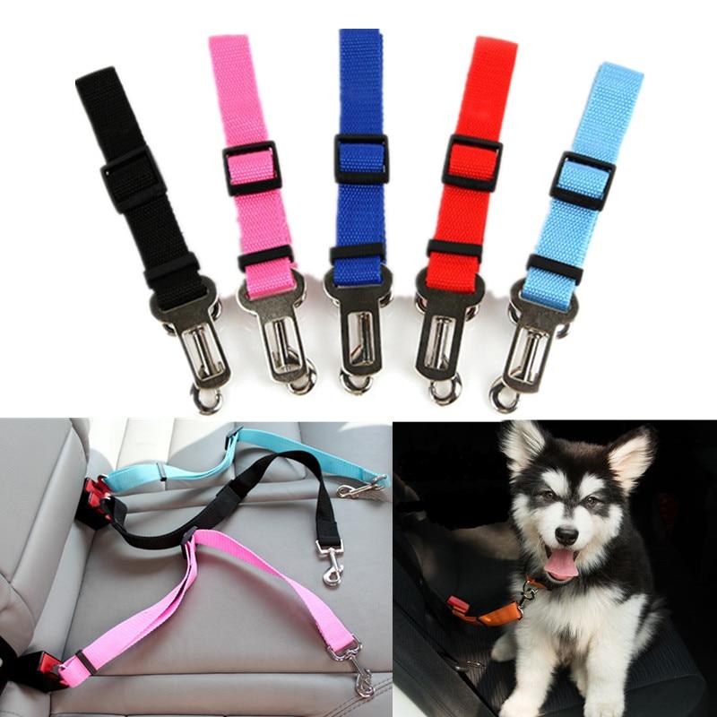 BeltPet™ - Ceinture de siège pour animal de compagnie - Our family dog