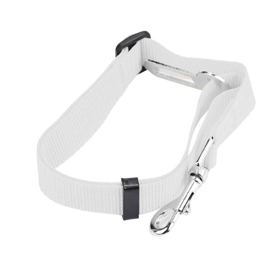 BeltPet™ - Ceinture de siège pour animal de compagnie - Our family dog