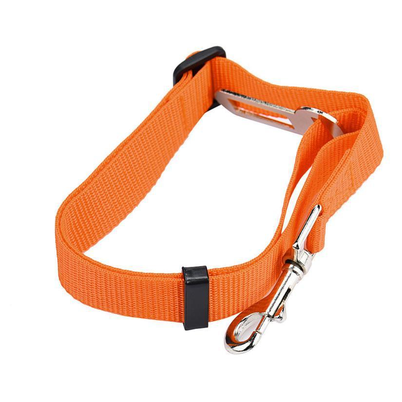 BeltPet™ - Ceinture de siège pour animal de compagnie - Our family dog