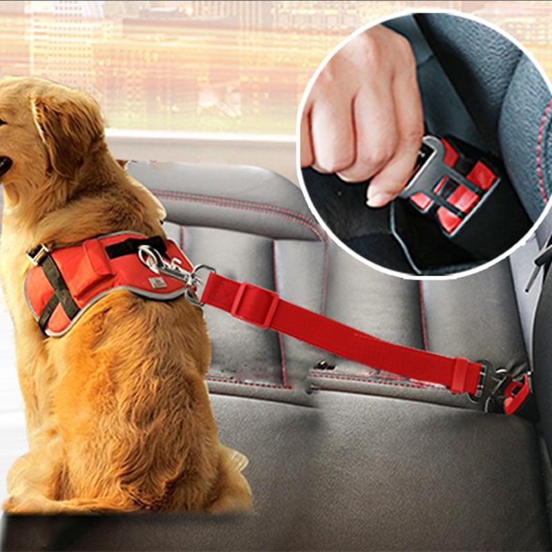 BeltPet™ - Ceinture de siège pour animal de compagnie - Our family dog