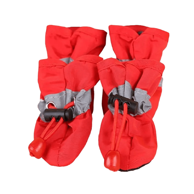 Chaussures imperméables pour chien - Our family dog