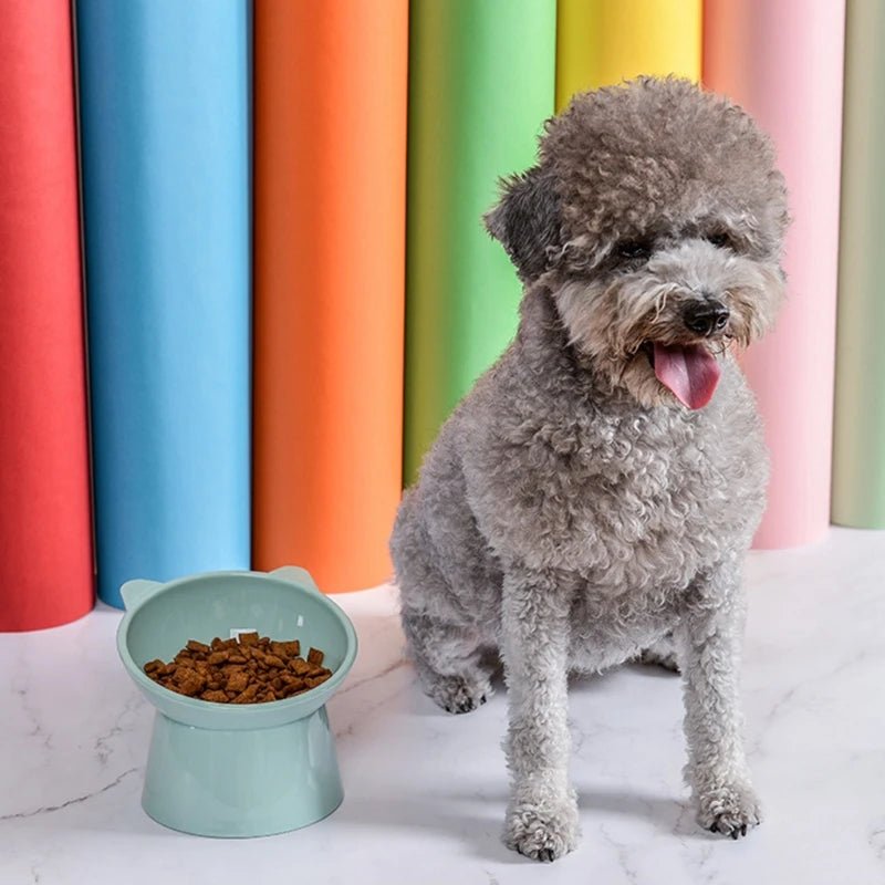 Bol nourriture pour animaux de compagnie gamelle pour chien accessoires pour animaux de compagnie protège colonne vertébrale - Our family dog