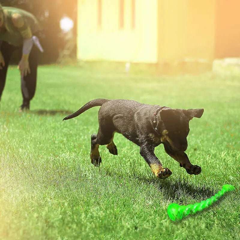 Jouet à mâcher d'entraînement pour chien de compagnie, amusant, caoutchouc dents propres durables, jouet - Our family dog