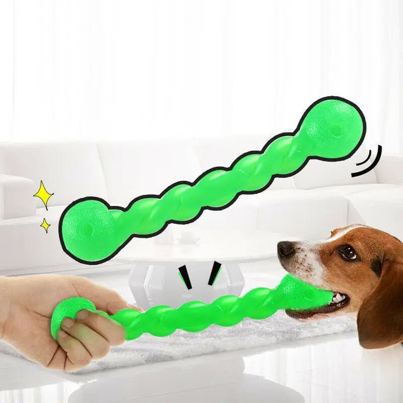Jouet à mâcher d'entraînement pour chien de compagnie, amusant, caoutchouc dents propres durables, jouet - Our family dog