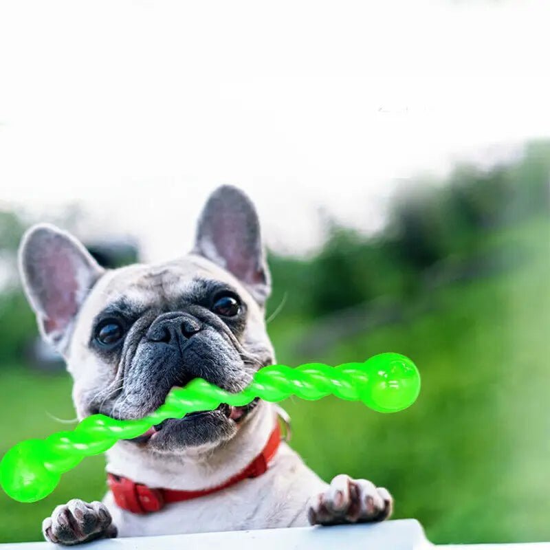 Jouet à mâcher d'entraînement pour chien de compagnie, amusant, caoutchouc dents propres durables, jouet - Our family dog
